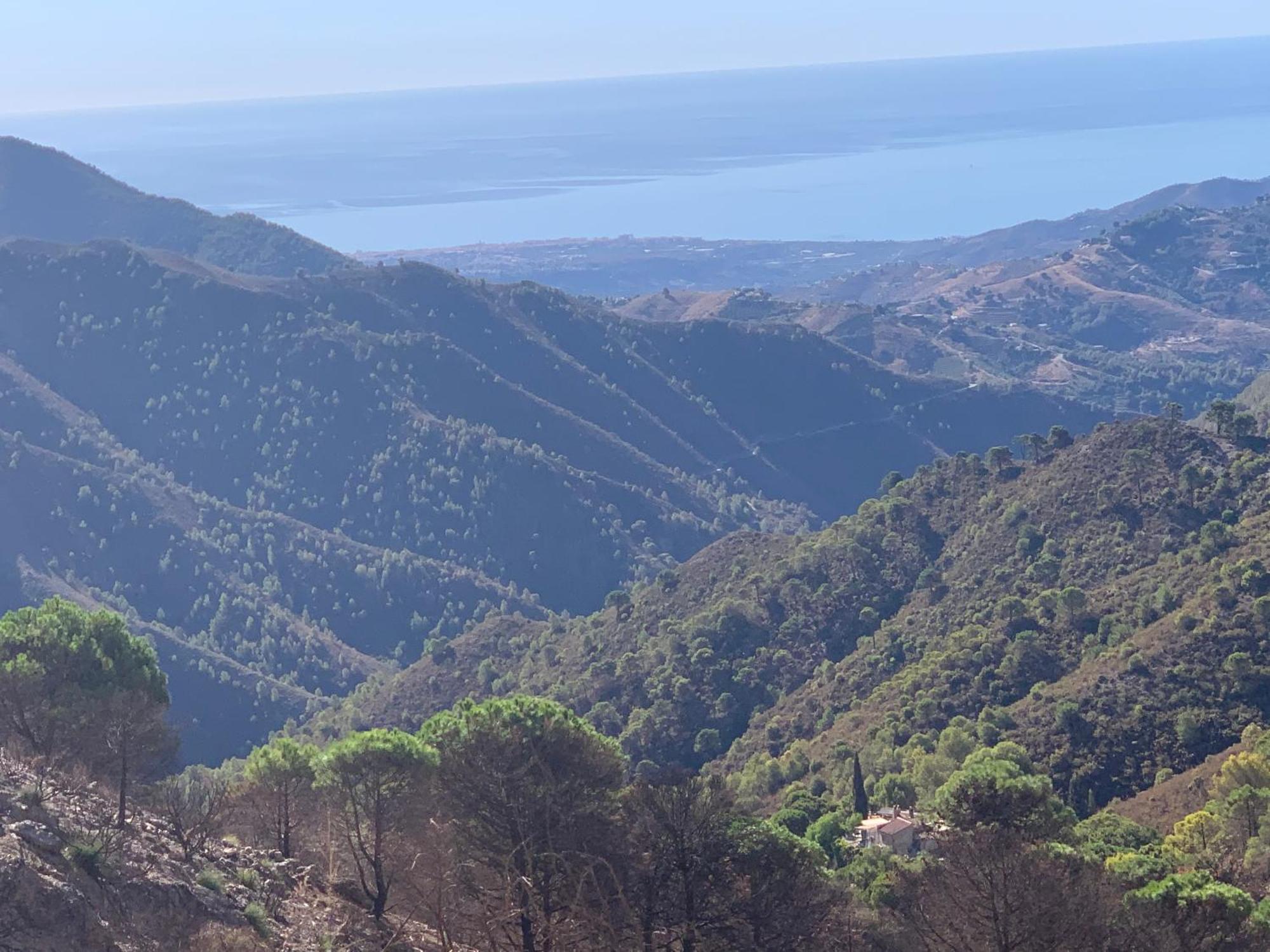 Finca El Almendro Málaga Eksteriør bilde