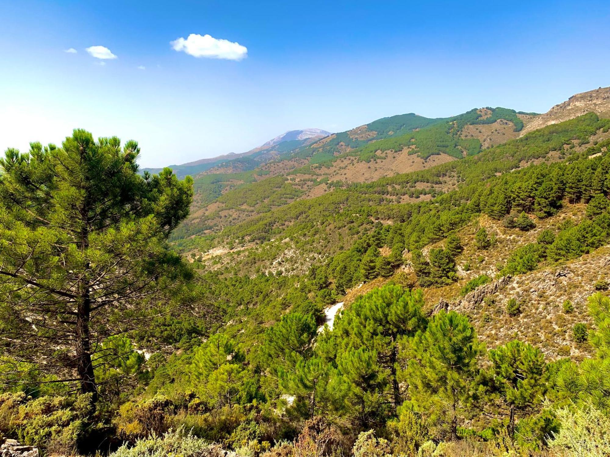 Finca El Almendro Málaga Eksteriør bilde